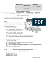 Teste1 2ºS 9ºCD V1