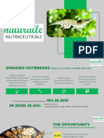 Naturalle Pitch Deck Sample