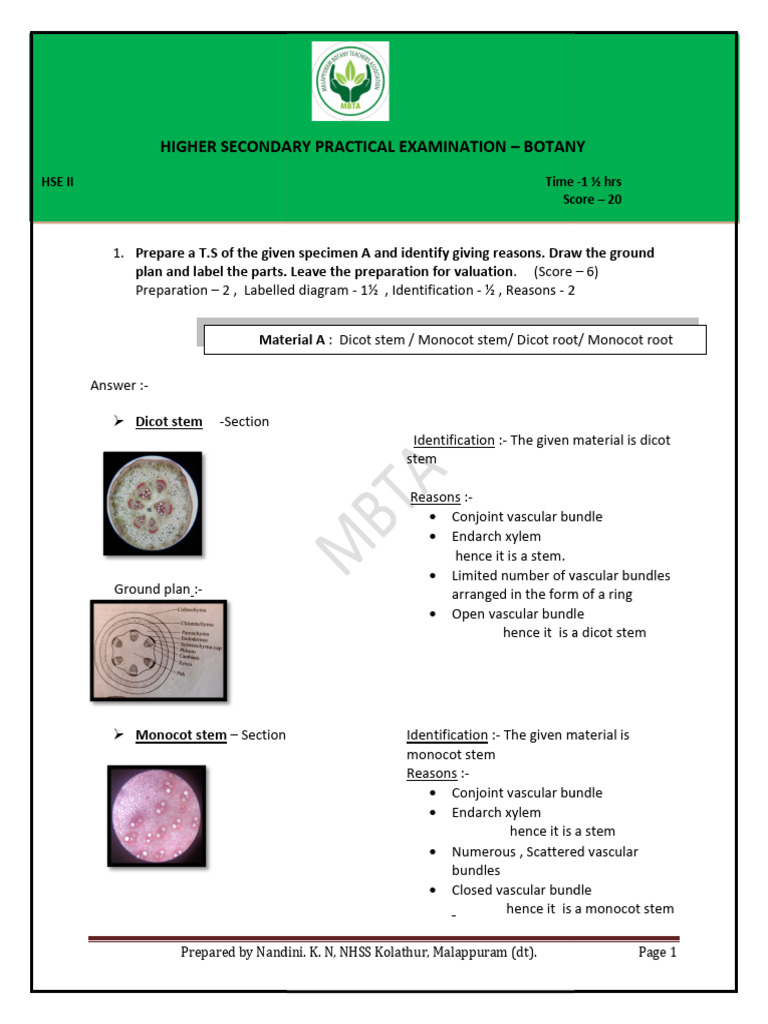 Botany Practical Note - 2023 | PDF