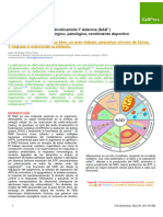 Review Formato Final-Felipe Daza C-NOTA 4.6