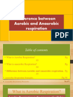 Difference Between Aerobic and Anaerobic Respiration
