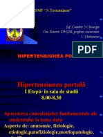 Hipertensiunea Portala Sem Anghelici