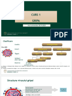 Curs 1.2 Gripa 2019 - 2020