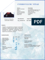 Curriculum Vitae Gustavo Andrade