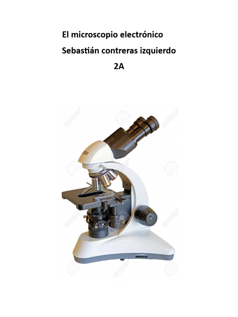 El Microscopio Electrónico Pdf Microscopio Microscópio