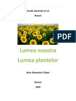 Proiect Plante