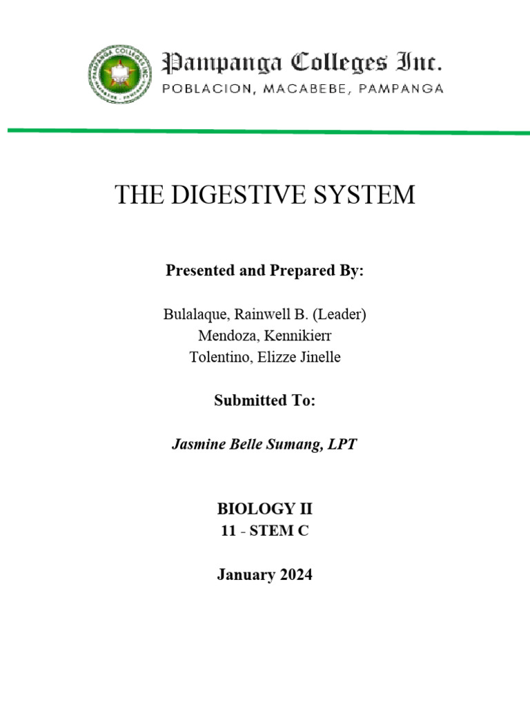 The Digestive System | PDF