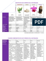 Cuadro Comparativo de Los 5 Reinos