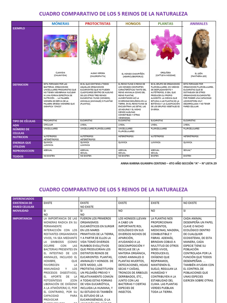 Cuadro Comparativo de Los 5 Reinos | PDF | Eucariotas | Plantas
