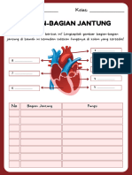 LKPD Sietem Peredaran Darah Manusia