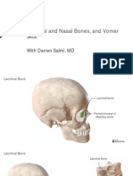 Slides Anatomy Lacrimal Nasal Bones Vomer