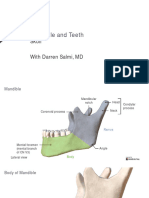 Slides Anatomy Mandible Teeth