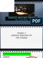 Surface Anatomy Part 2 Thorax, Abdomen, and Back 2022
