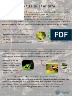PDF Animales de La Huerta