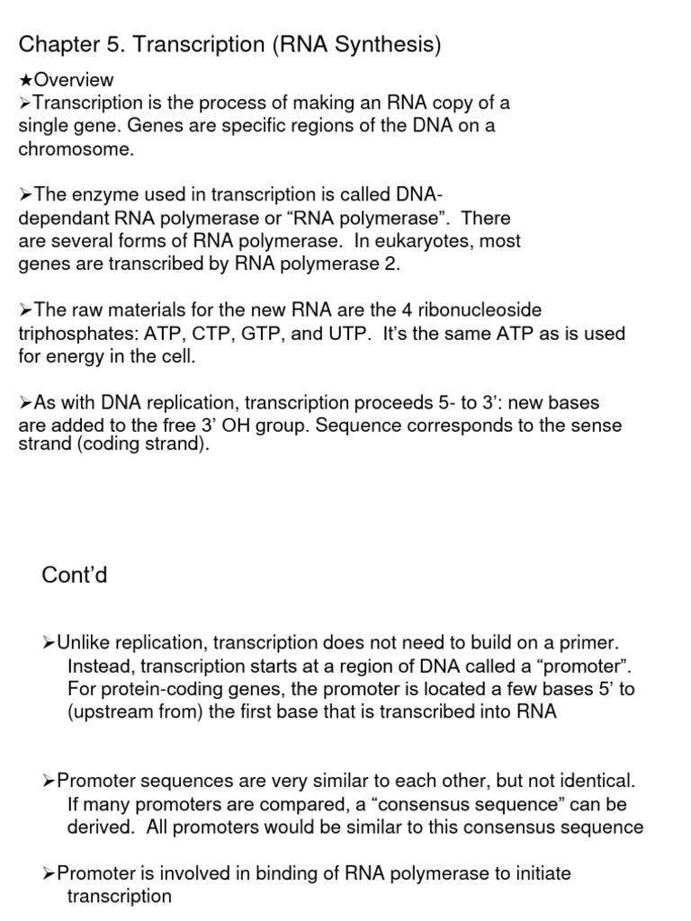 MB Chapter 5 Transcription | PDF | Sense (Molecular Biology) | Promoter ...