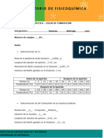 Formato - Calor de Combustión