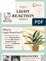Light Reaction