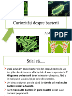 Curiozități Despre Bacterii