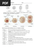 Chicken Foot Anatomy Dissection Guide | PDF | Foot | Tissue (Biology)