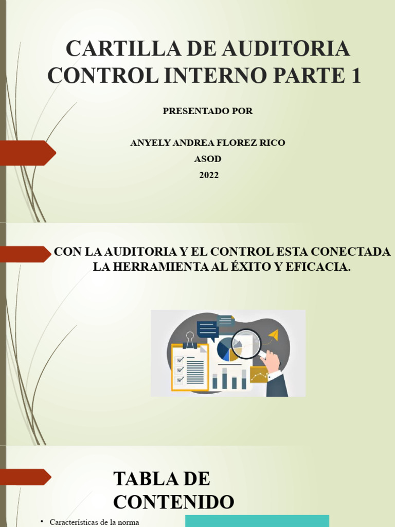Cartilla de Auditoria Control Interno Parte 1 | PDF