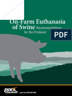 Eutanasia de Cerdos para Productor