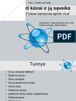 9-Ielektrinti kunai-PPT-17