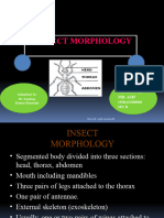 MD Asif Entomology