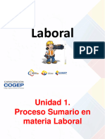 Procedimientos en Materia Laboral