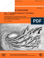 Fao Species Catalogue: Vol. 7. Clupeoid Fishes of The World