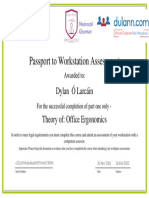 Passport To Workstation Assessment: Dylan Ó Larcáin