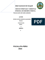 Universidad Nacional de Ucayali - Docx Alex Reyes