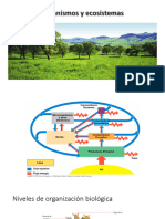 Iº Organismos y Ecosistemas