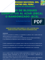 Diapositiva BCR