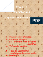 Tema 2 Tafo I