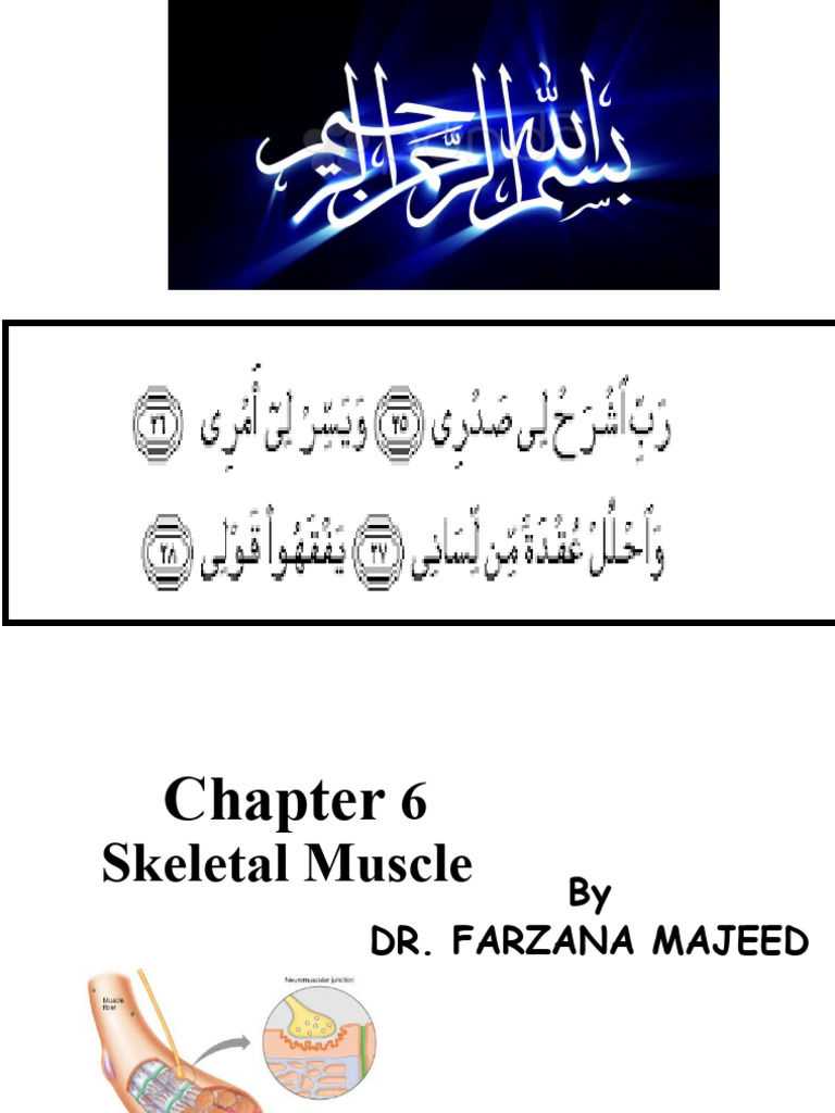 Skeletal Muscle | PDF
