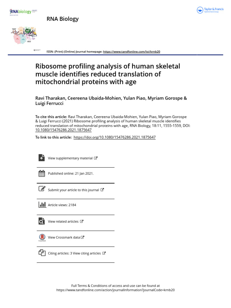 Ribosome Profiling Analysis of Human Skeletal Muscle Identifies Reduced
