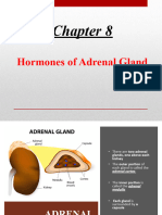 8 Hormones of Adrenal Gland