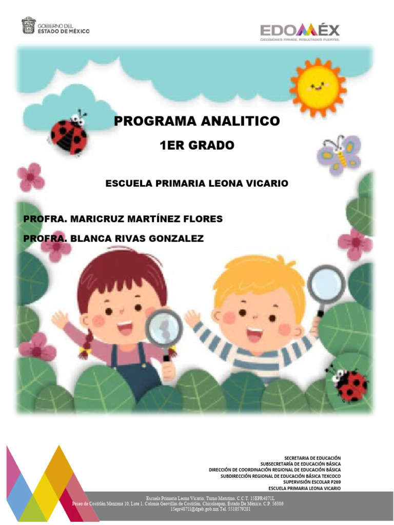 Plan Analitico | PDF