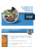 1 El Subsector Forestal de Veracruz