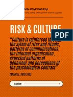 Risk & Culture
