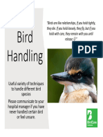 Bird Handling