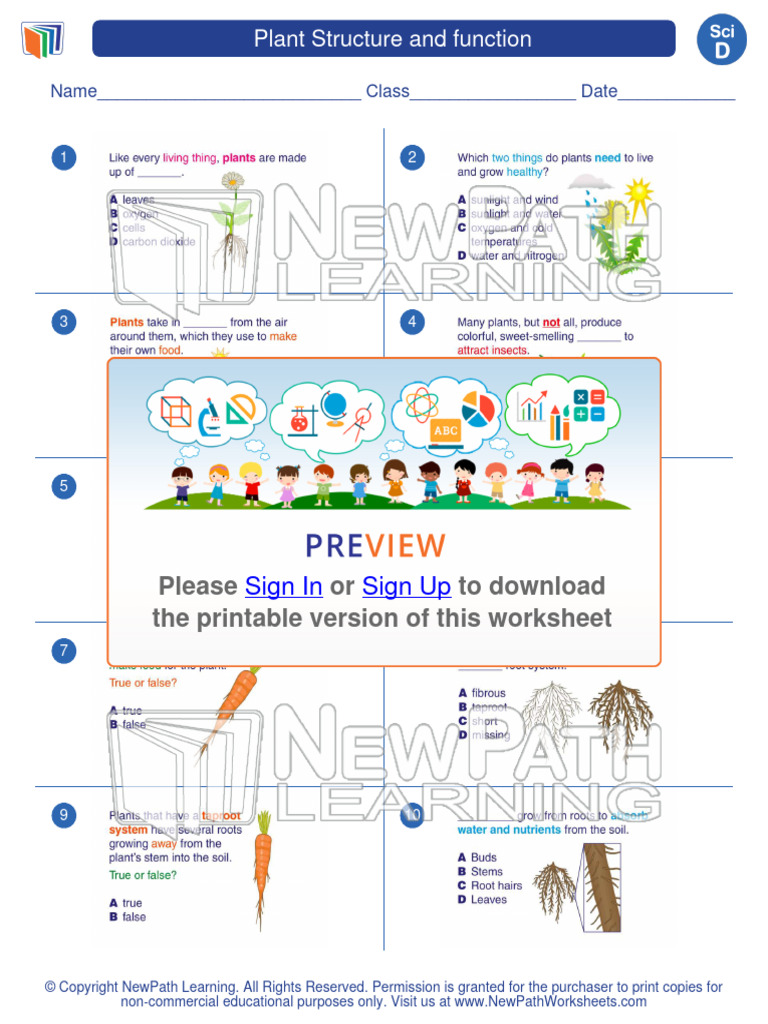 Worksheet Science Grade 4 Plant Structure and Function 1 0 | PDF | All