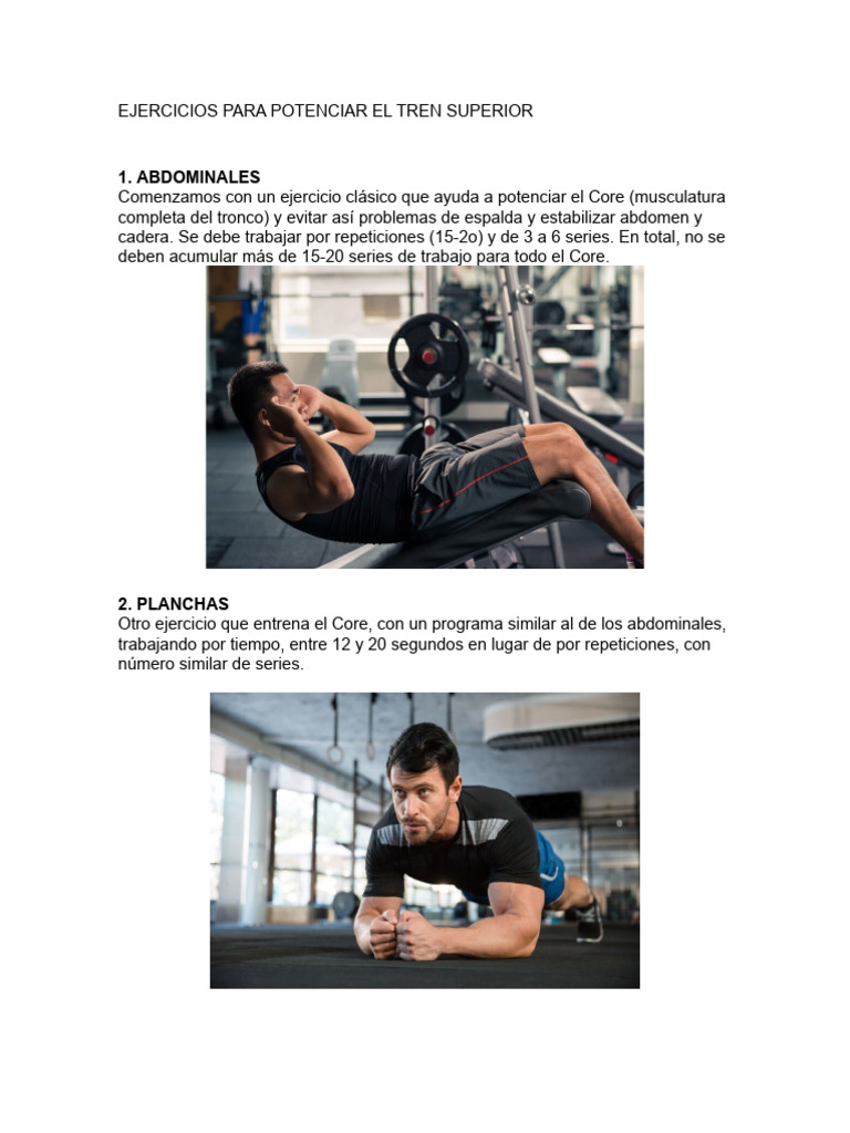 Ejercicios Pdf Anatomía Humana Sistema Musculoesquelético