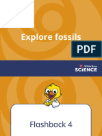 Y3 Spring Block 1 TS2 Fossil Formation