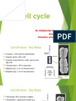Cgu Cell Cycle and Mitosis