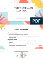 Sistem Pencernaan Manusia