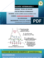 Sistema Motor Control Del Movimiento