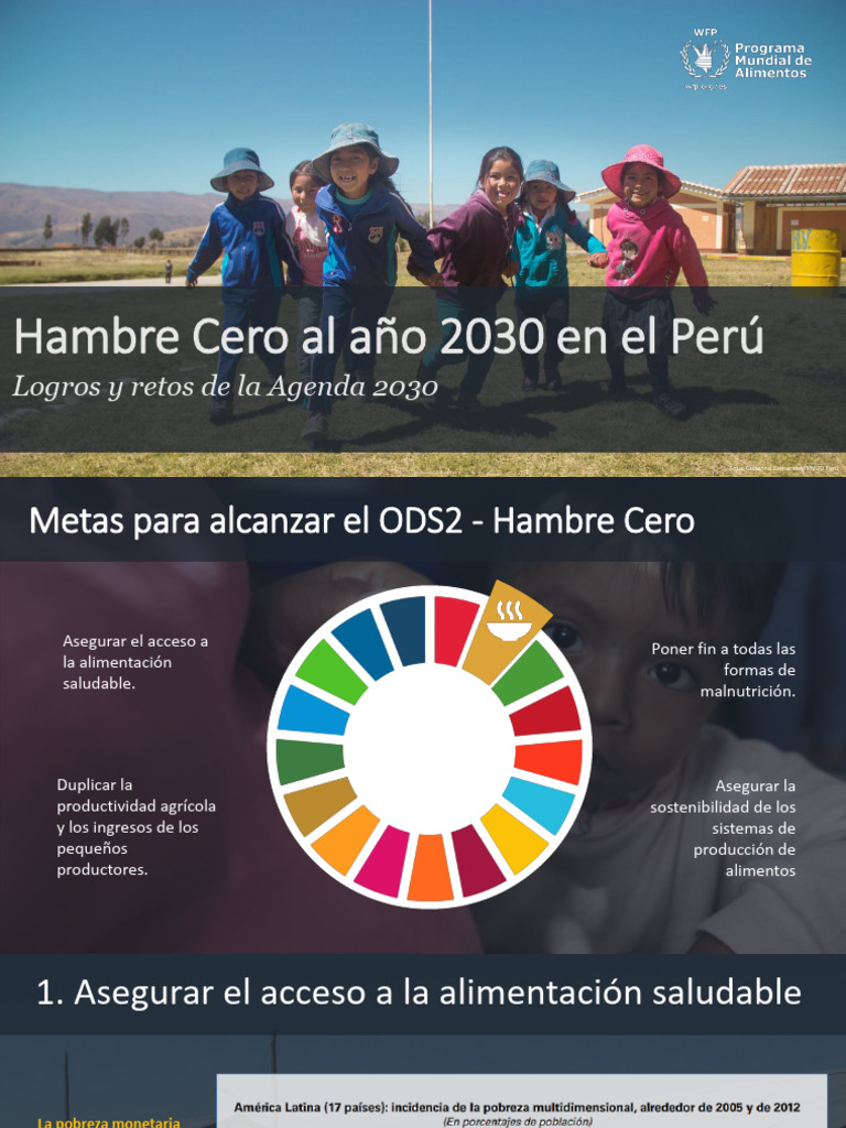 Hambre Cero | PDF | Hambre | America latina