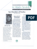 PLT_Poultry-Eye-Disorders