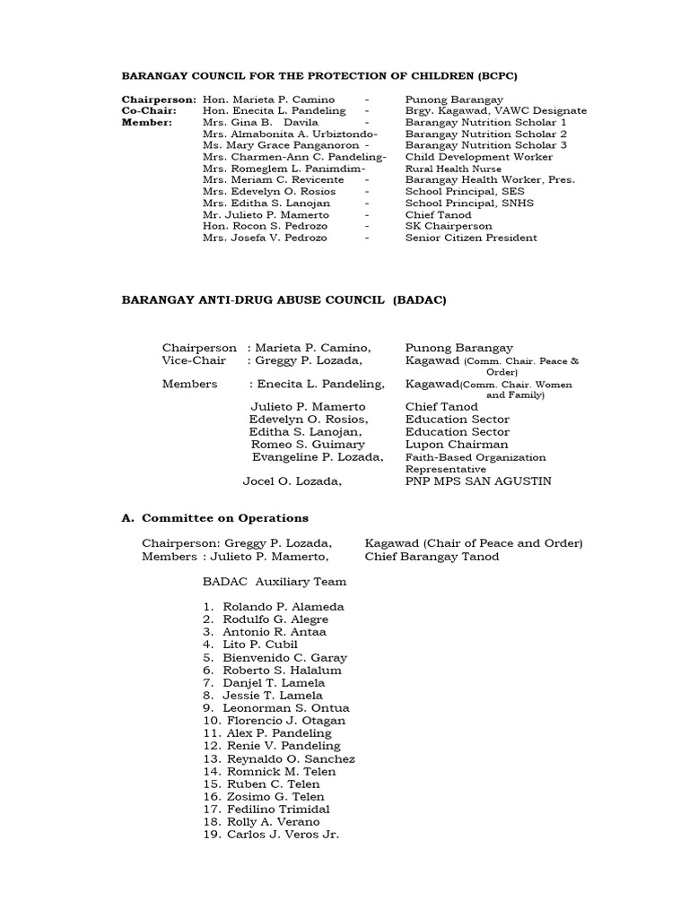 Barangay Council For The Protection of Children | PDF
